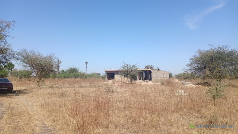 terrain-de-600-metres-carres-a-vendre-a-mbodiene-senegal-big-1