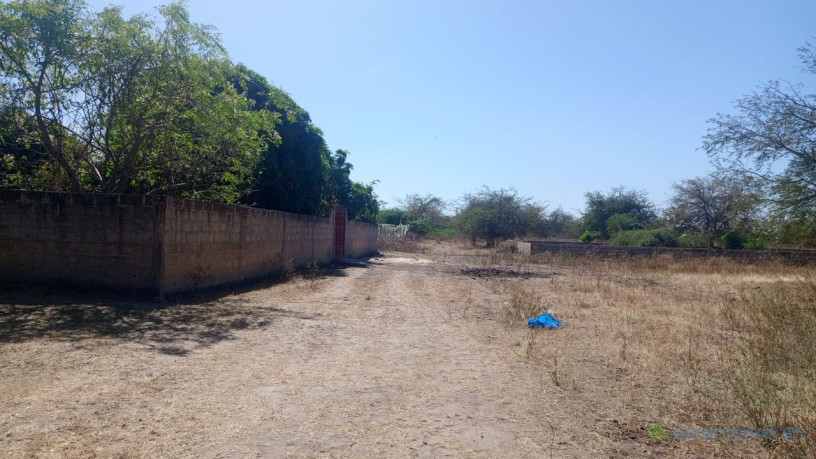 terrain-de-600-metres-carres-a-vendre-a-mbodiene-senegal-big-2