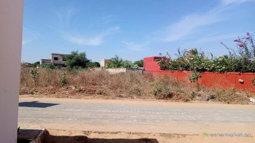 terrain-de-1200-metres-carres-a-vendre-a-la-somone-senegal-big-2