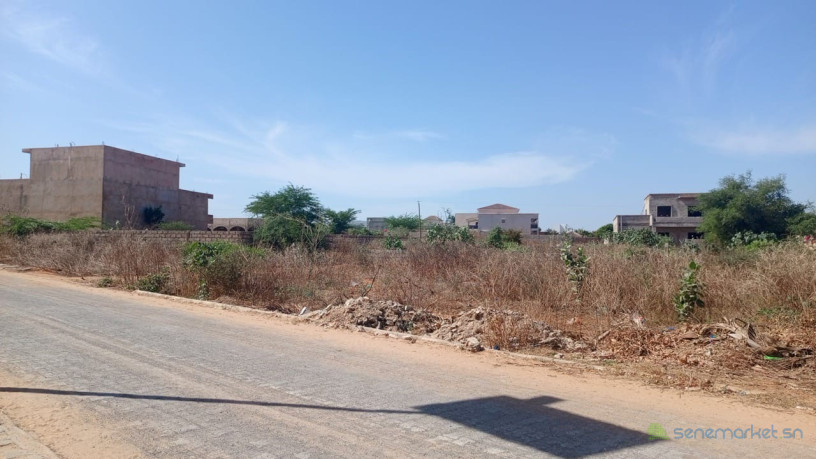 terrain-de-1200-metres-carres-a-vendre-a-la-somone-senegal-big-3