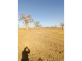 a-vendre-unterrain-de-110ha-a-ndiass-small-3