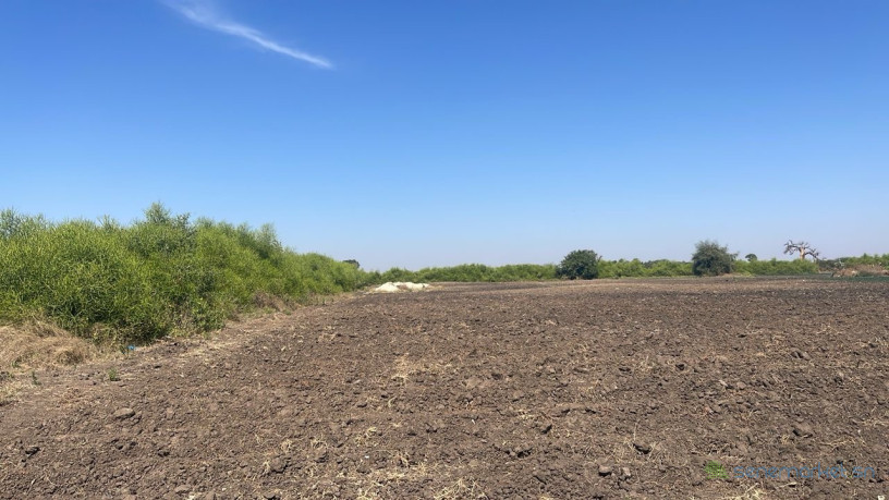 champ-de-2-hectares-et-demi-a-vendre-a-mbodiene-senegal-big-3