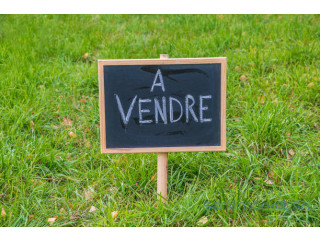 3 lots de terrains a vendre a l'intérieur de ouest foire