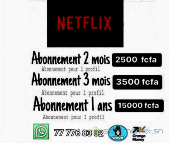 mega-promo-netflix-big-0