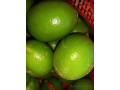 du-citron-bio-en-grande-quantite-small-0