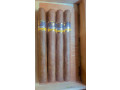 cohiba-grand-modele-small-0