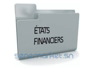 MONTAGE ETATS FINANCIERS