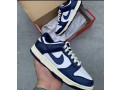 nike-sb-dunk-small-1