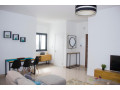 magnifique-appartement-meuble-a-louer-a-mermoz-small-3