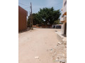 terrain-de-250-metres-carres-a-vendre-a-mbour-senegal-small-1