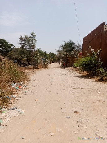 terrain-de-250-metres-carres-a-vendre-a-mbour-senegal-big-3