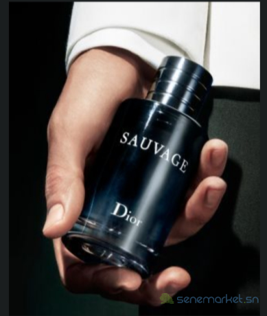 parfum-sauvage-dior-authentique-big-0