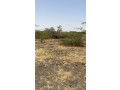 terrain-de-300-metres-carres-a-vendre-a-nguekhokh-diameguene-ouest-senegal-small-1