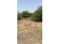 terrain-de-300-metres-carres-a-vendre-a-nguekhokh-diameguene-ouest-senegal-small-2