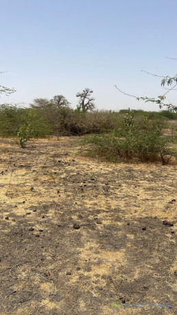 terrain-de-300-metres-carres-a-vendre-a-nguekhokh-diameguene-ouest-senegal-big-1