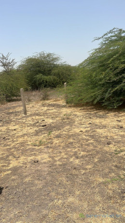 terrain-de-300-metres-carres-a-vendre-a-nguekhokh-diameguene-ouest-senegal-big-2