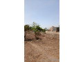 terrain-de-600-metres-carres-a-vendre-a-saly-diambougoune-senegal-small-2