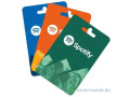 carte-cadeau-spotify-small-1